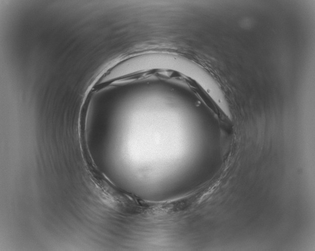 X0000056320148200509161652