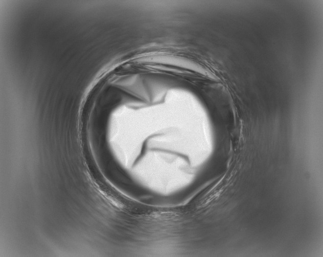 X0000056320150200509161652