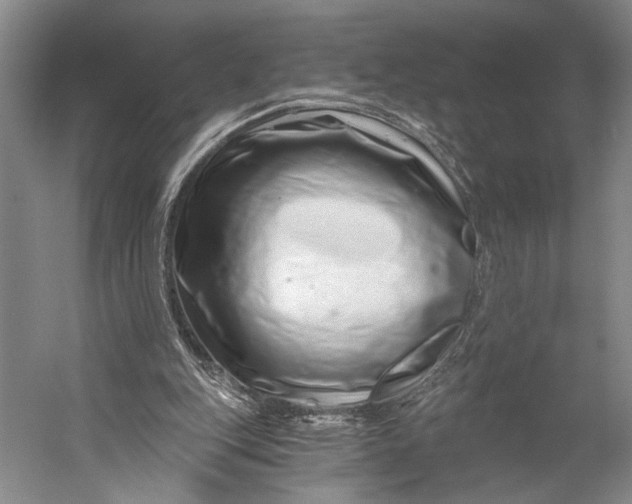X0000056320151200509161652