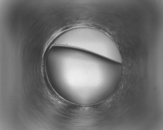 X0000056320152200509161652