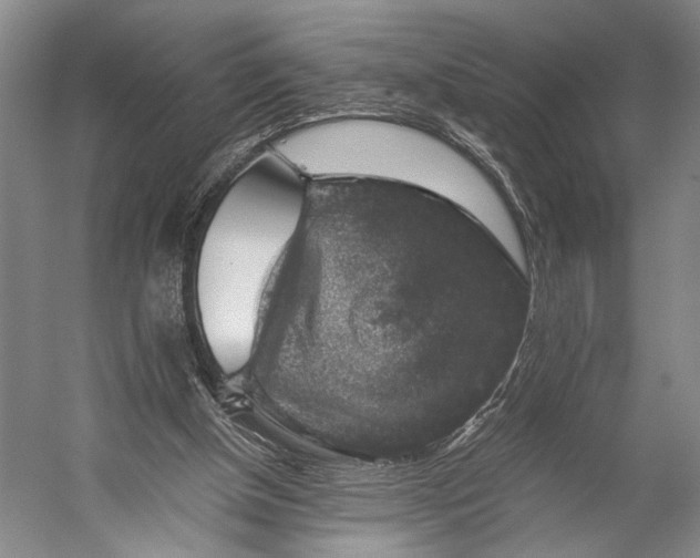 X0000056320154200509161652