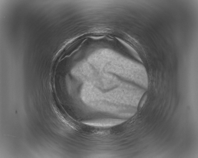 X0000056320155200509161652