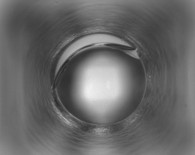 X0000056320158200509161652