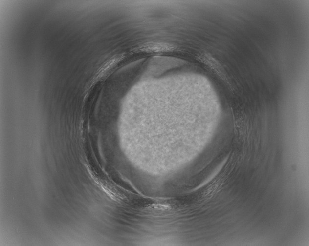 X0000056320159200509161652