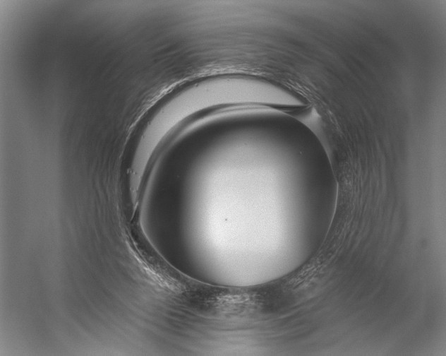 X0000056320160200509161652
