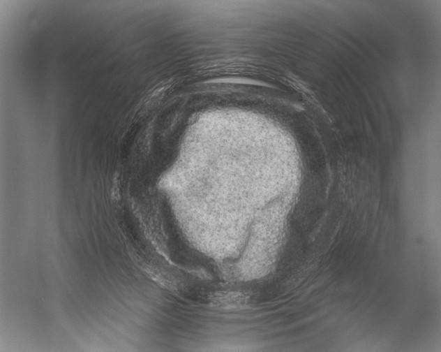 X0000056320161200509161652