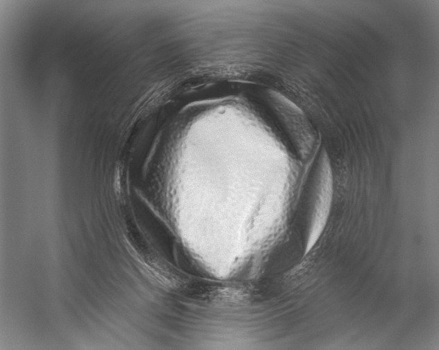 X0000056320166200509161652