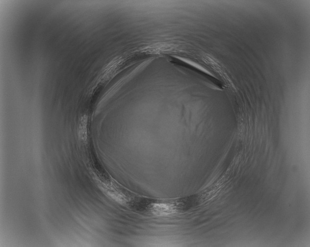 X0000056320167200509161652