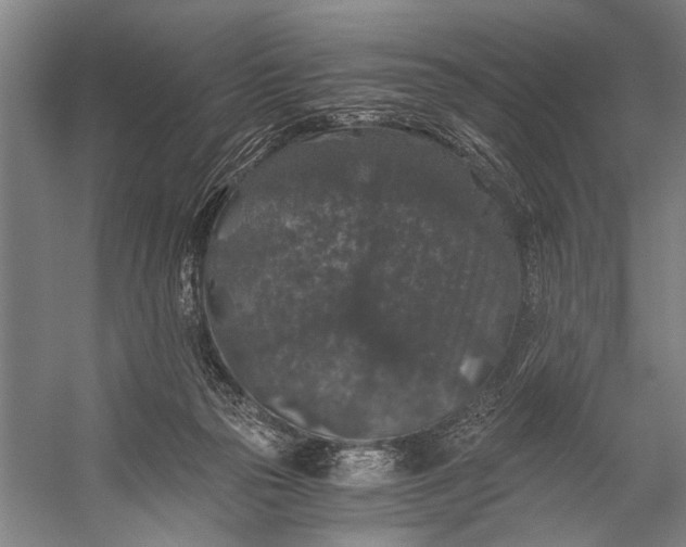 X0000056320169200509161652
