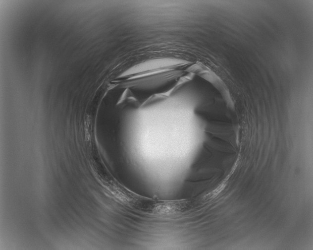 X0000056320174200509161652