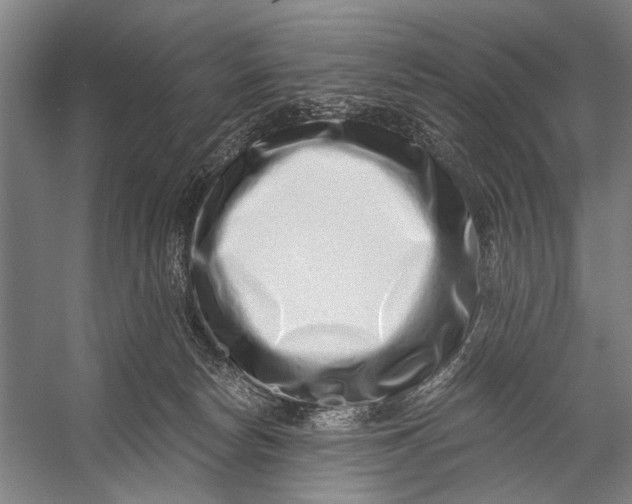 X0000056320178200509161653