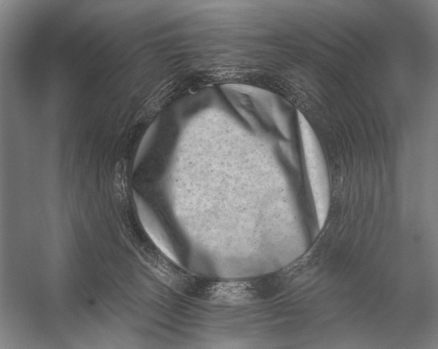 X0000056320179200509161653