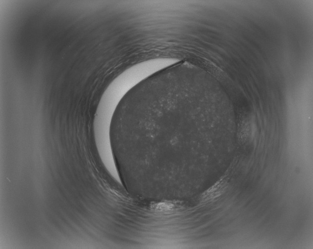 X0000056320180200509161653