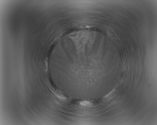 X0000056320183200509161653