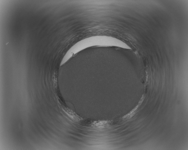 X0000056320186200509161653