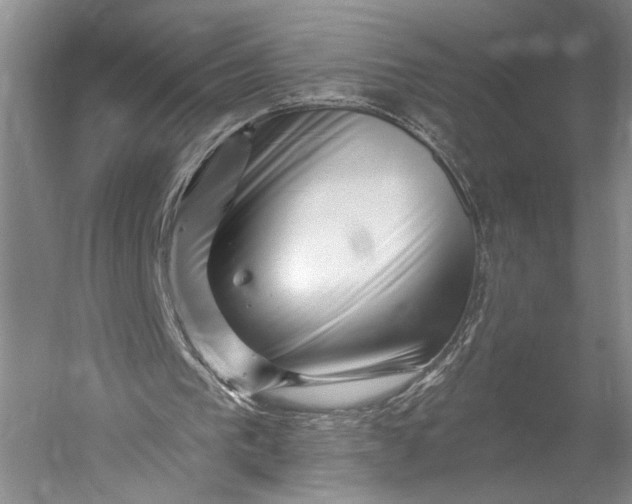 X0000056320193200509161652