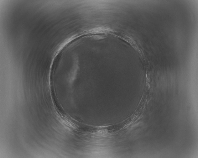 X0000056320196200509161652