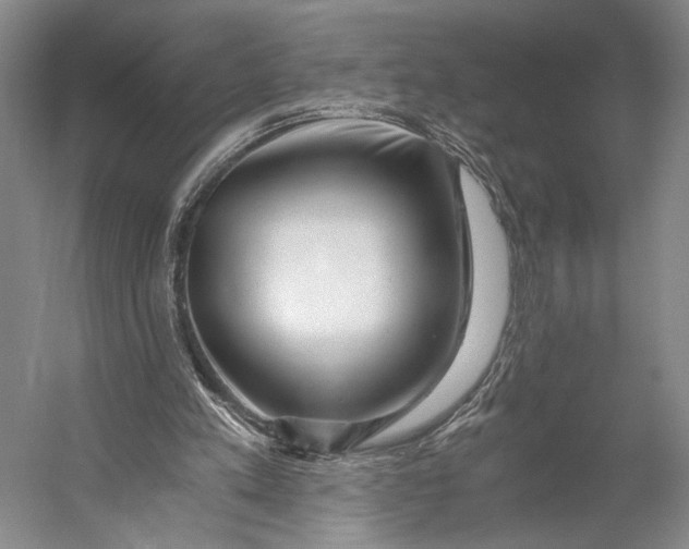 X0000056320197200509161652