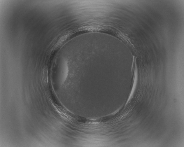 X0000056320205200509161652