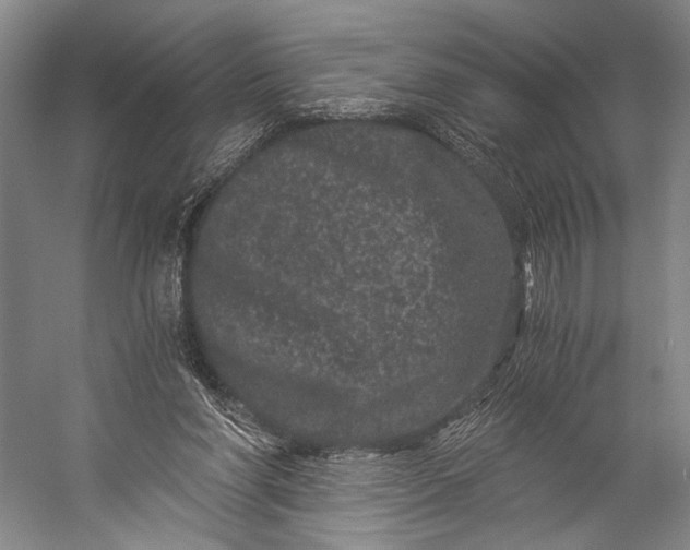 X0000056320206200509161652
