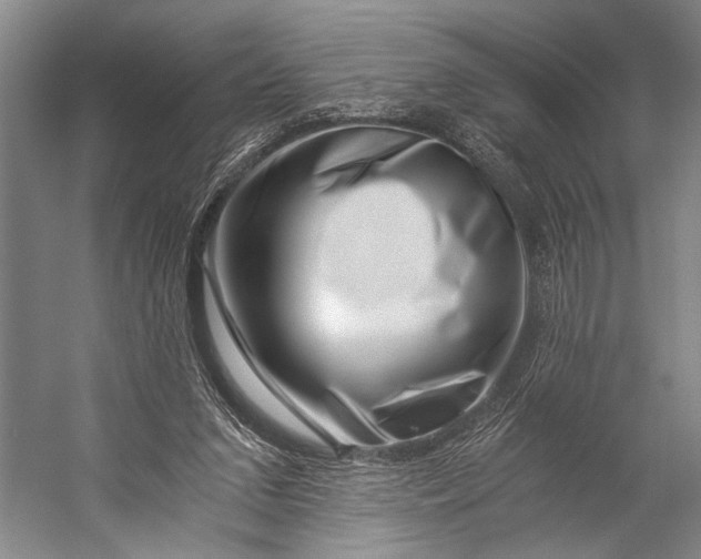X0000056320207200509161652