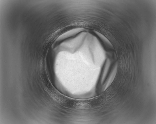 X0000056320208200509161652