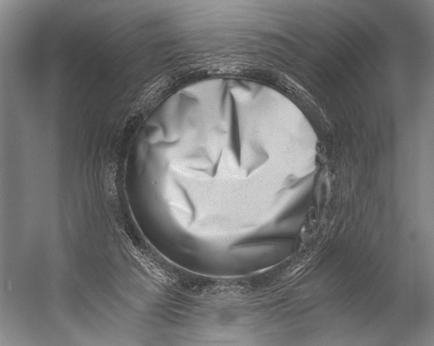 X0000056320209200509161652