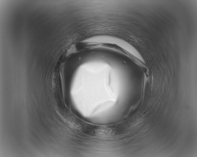 X0000056320215200509161652