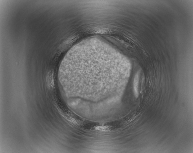 X0000056320216200509161652