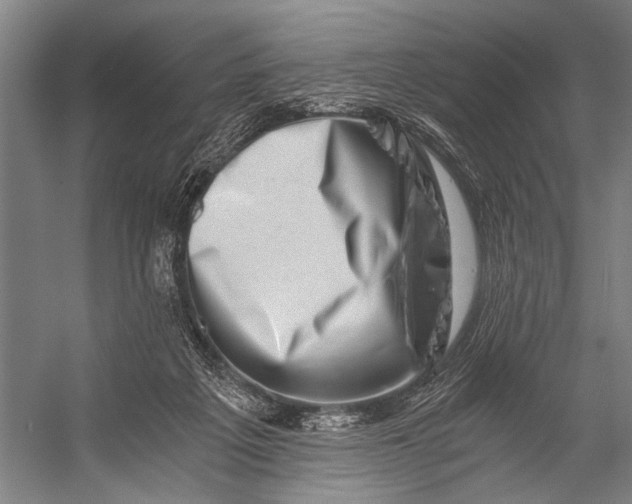 X0000056320217200509161652