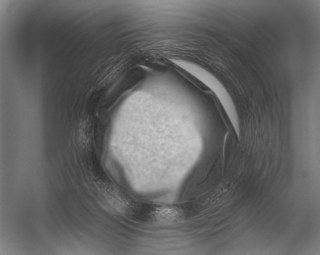 X0000056320218200509161652
