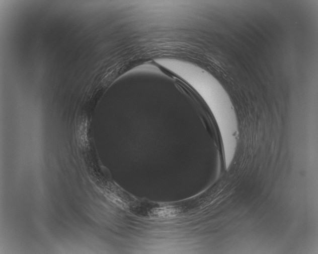 X0000056320219200509161652