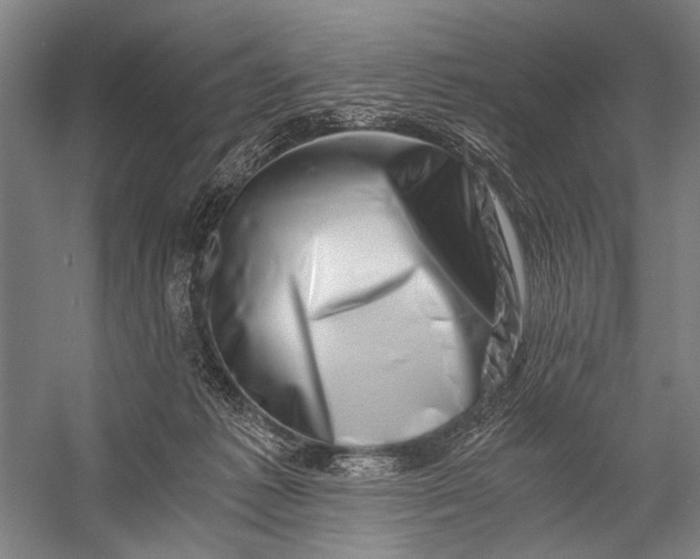X0000056320221200509161652