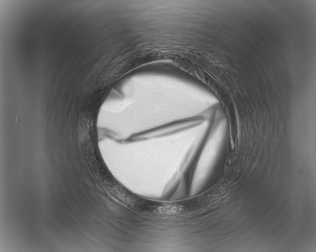 X0000056320225200509161651