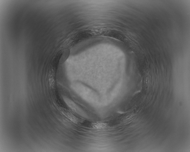 X0000056320226200509161651