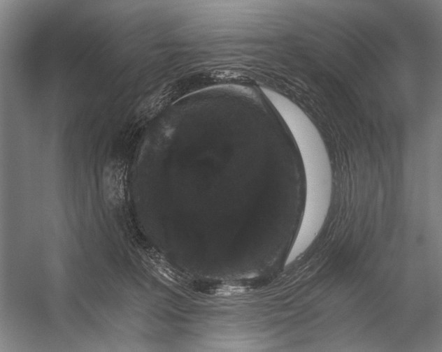 X0000056320227200509161651