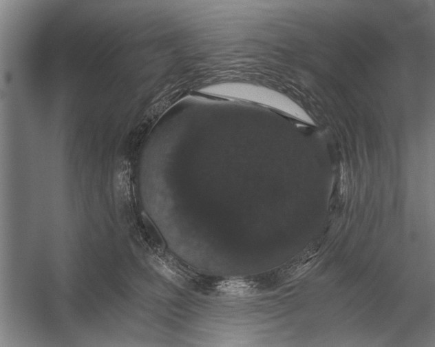 X0000056320231200509161651