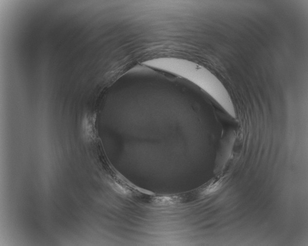 X0000056320239200509161651