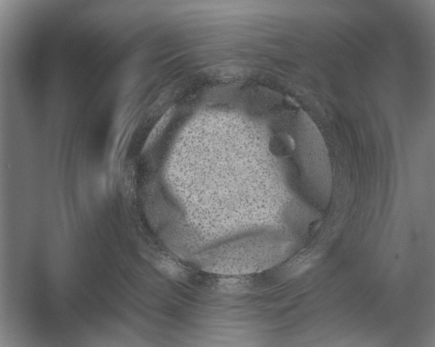 X0000056320240200509161651