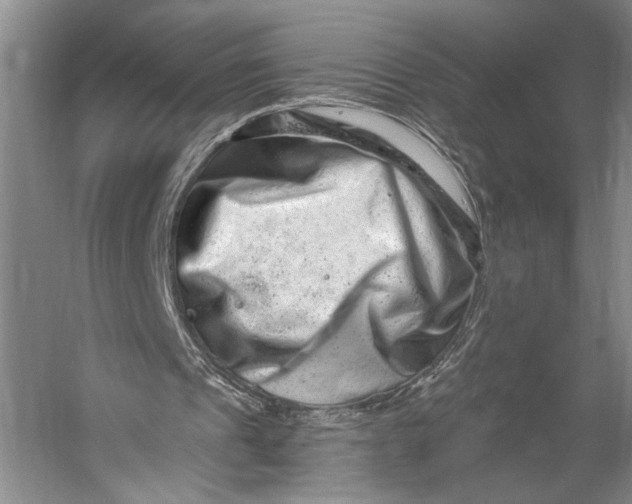 X0000056320241200509161650