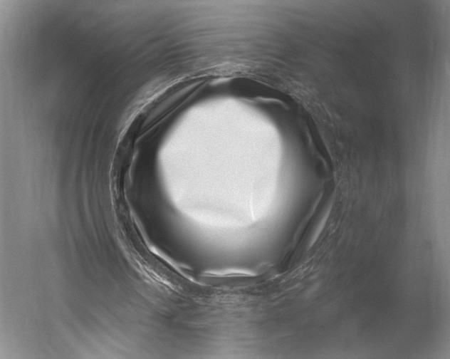 X0000056320242200509161650