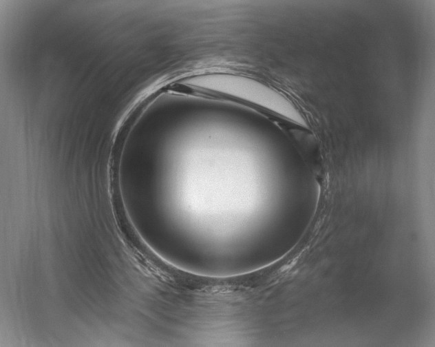 X0000056320244200509161650