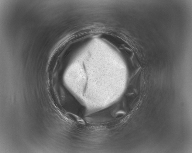 X0000056320245200509161650