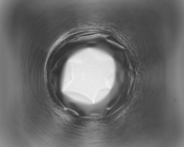X0000056320246200509161650