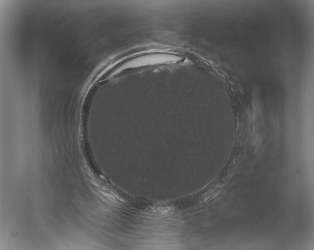 X0000056320247200509161650