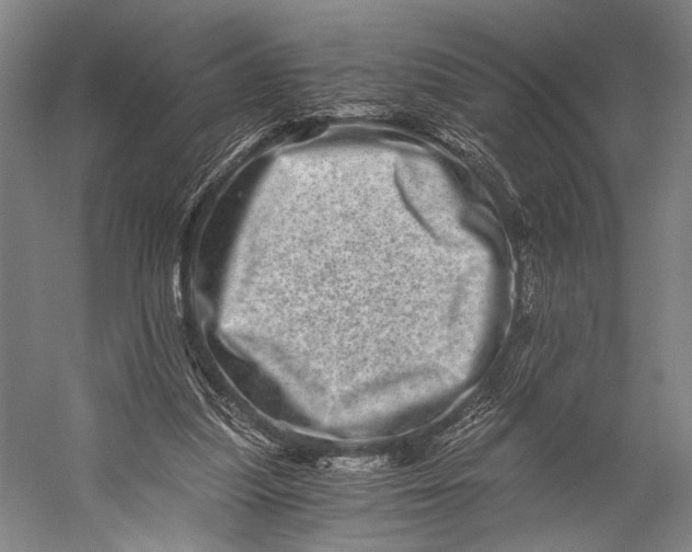 X0000056320251200509161651