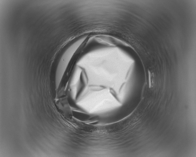 X0000056320252200509161651