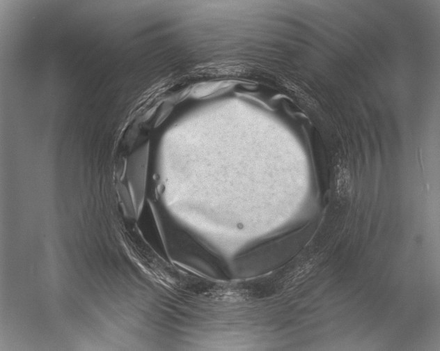 X0000056320254200509161651