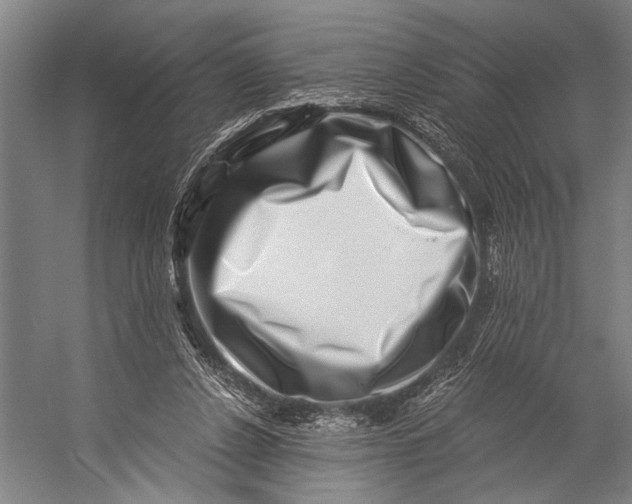 X0000056320256200509161651