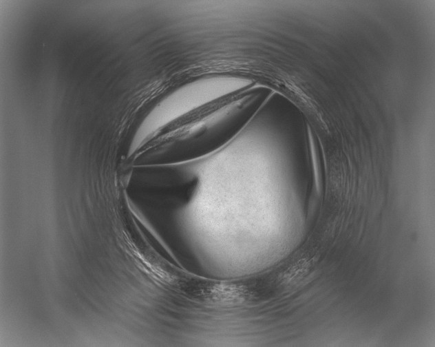 X0000056320261200509161651